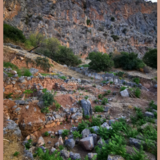 Συναντήσεις για την Ελληνική και Ρωμαϊκή Αρχαιότητα Τίτλος ομιλίας: Le programme de recherche " Ville de Delphes ".